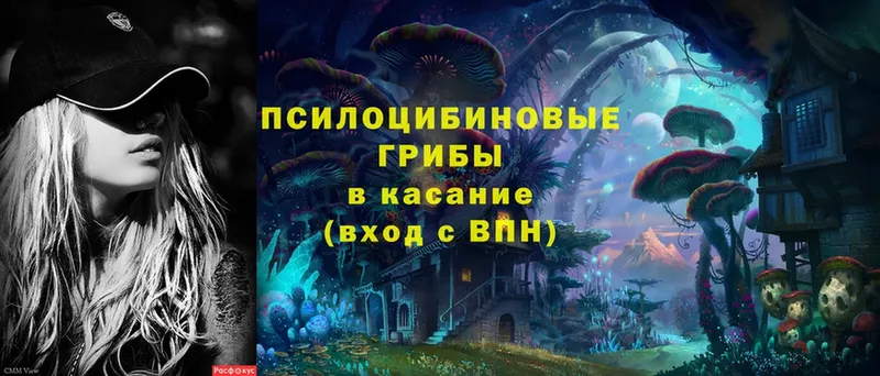 закладки  Княгинино  Галлюциногенные грибы Magic Shrooms 